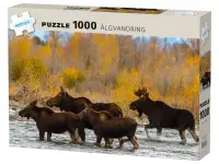 Kärnan: Älgvandring (1000)