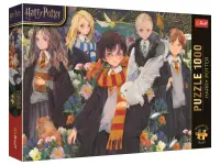 Trefl: Harry Potter (1000)
