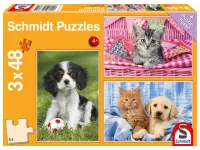 Schmidt: My Cutest Baby Animals (3 x 48)