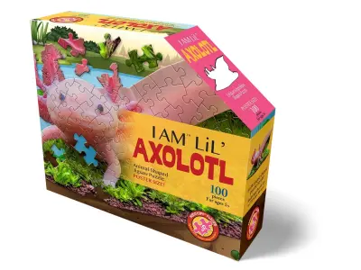 Klicka för större bild