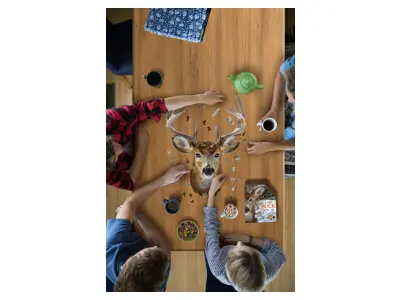 Klicka för större bild