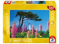 Schmidt: Dornbusch Lighthouse, Hiddensee (1000)
