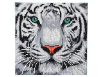 Craft Buddy: Framed Canvas Kit - White Tiger