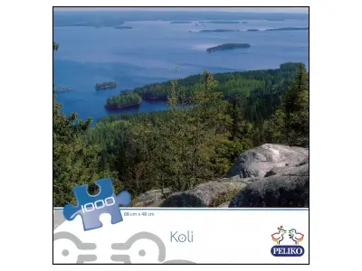 Klicka för större bild